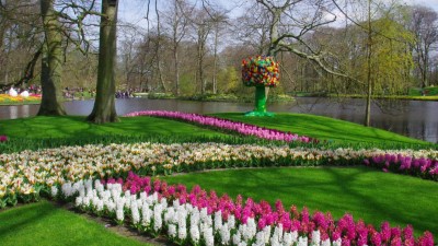 Blomsterauktion, Keukenhof & Panorama Mesdag